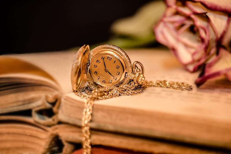 Time Loop Understanding
